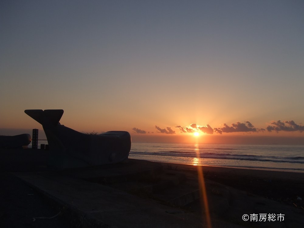 和田浦くじらゼミ