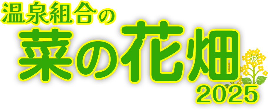 温泉組合の菜の花畑